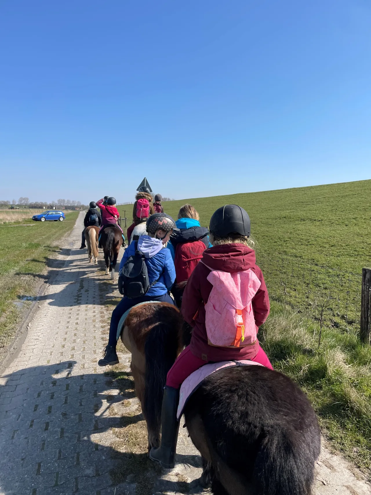 Geführtes Ponyreiten