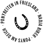 Ponyreiten in Friesland - Nadja Biber - Ponys am Deich