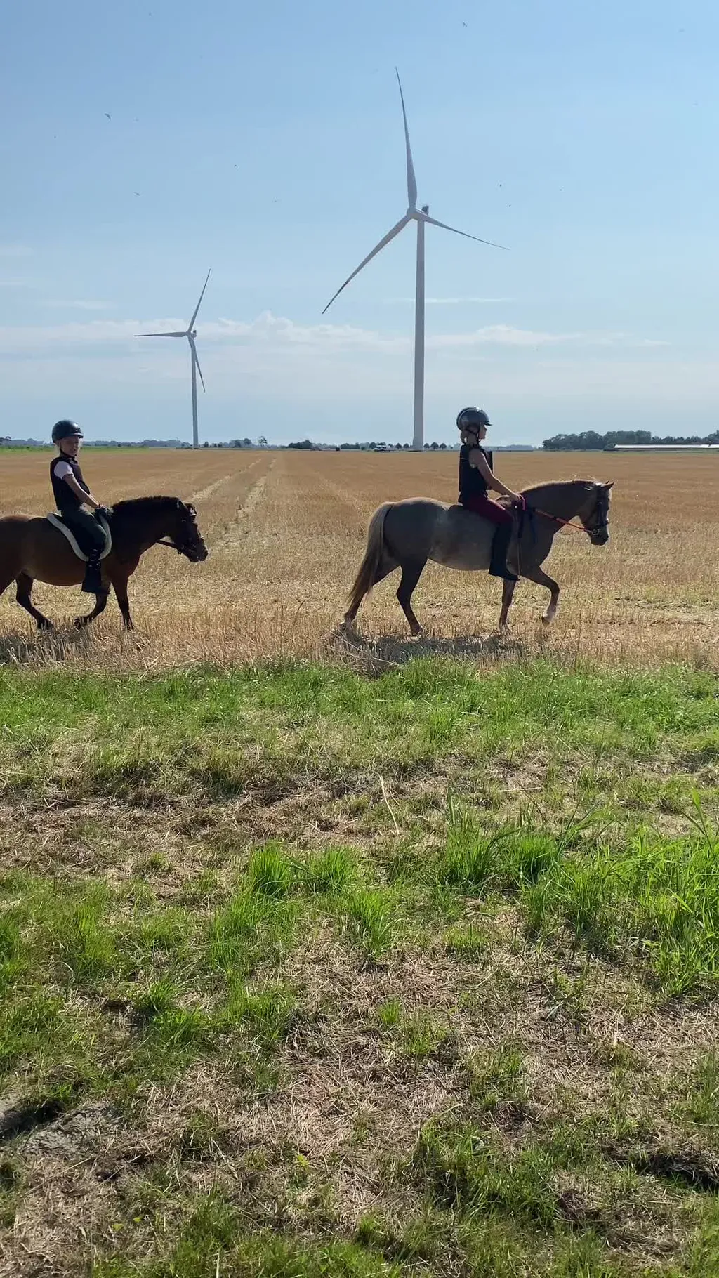 Der Sommer wird wieder schön 🥰